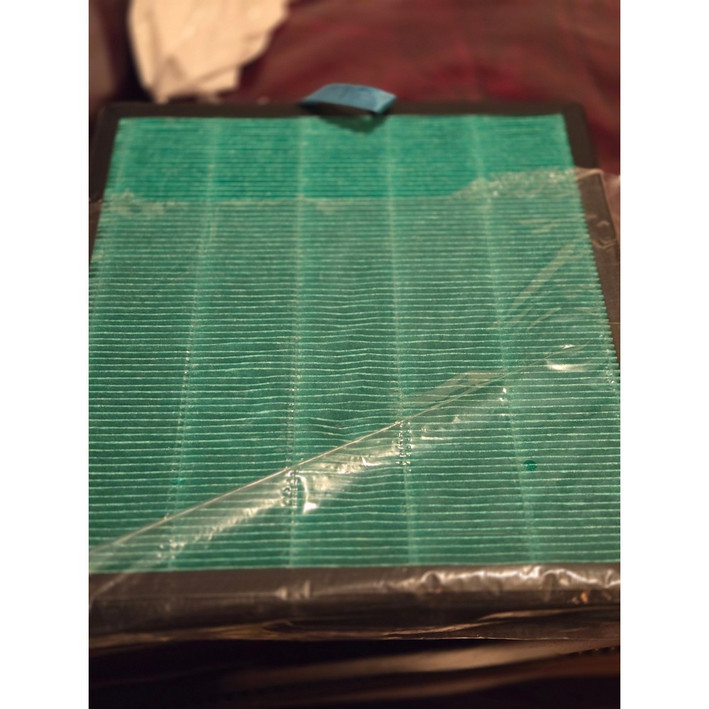 Two H13 True HEPA Activated Carbon Filter Replacement for Air‎ Purifier